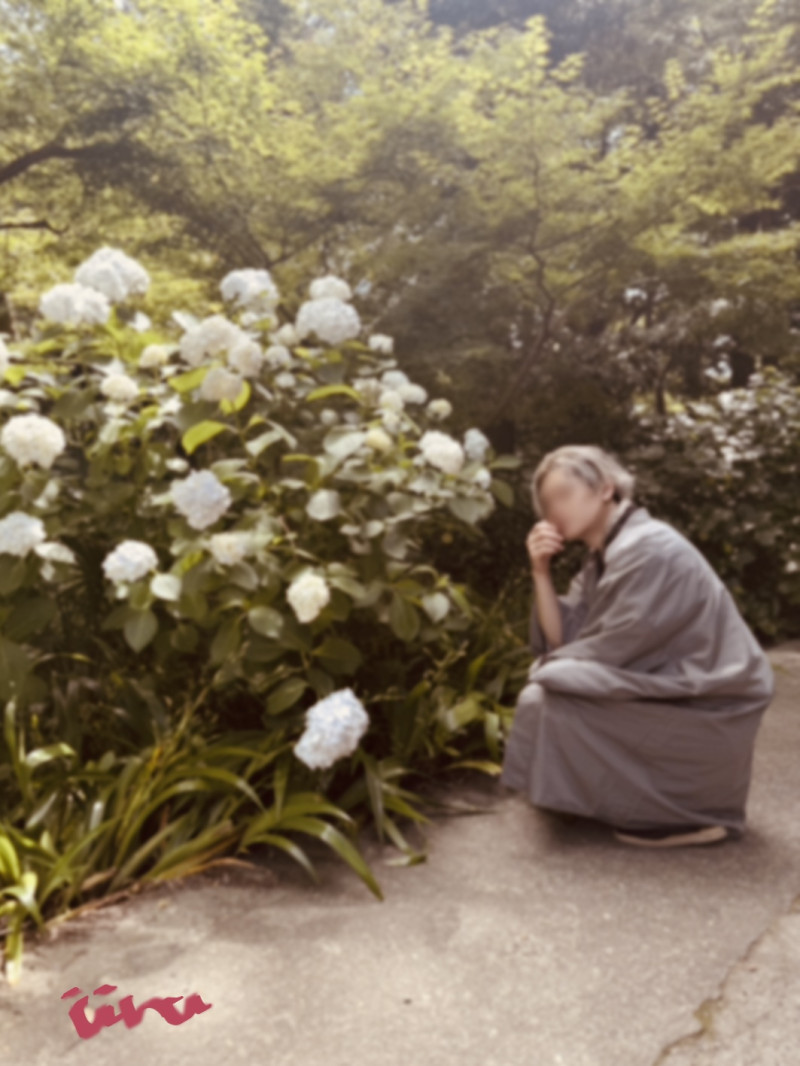 【　Bloom early summer -two-　】
