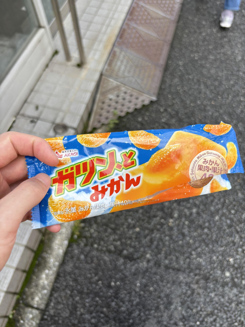 神様と暑さについて話し合いしたよ。