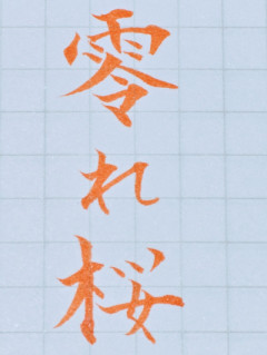 こぼれ桜?