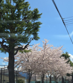 久々出勤