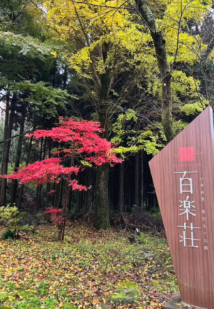 毎年恒例の百楽荘