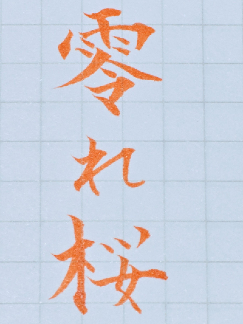 こぼれ桜?