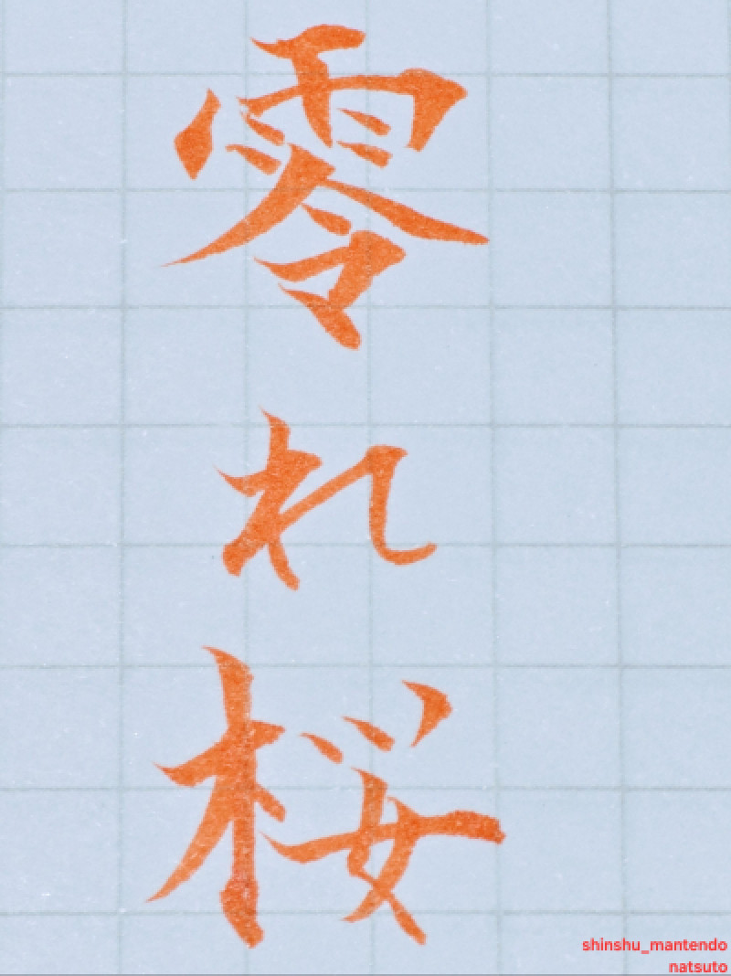 こぼれ桜?