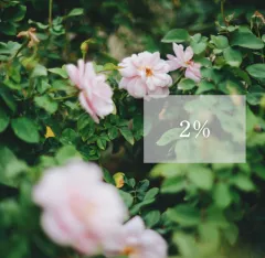 2%