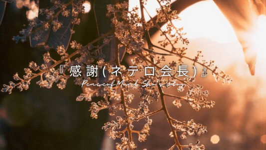 『感謝（ネテロ会長）』
