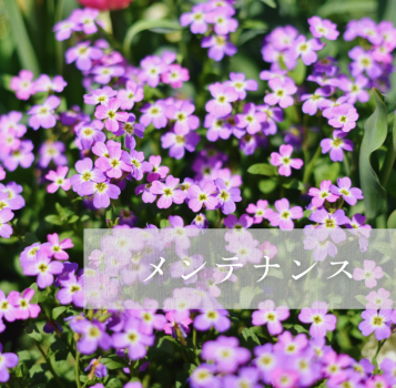 メンテナンス