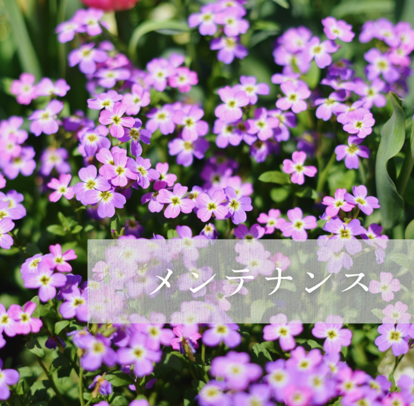メンテナンス