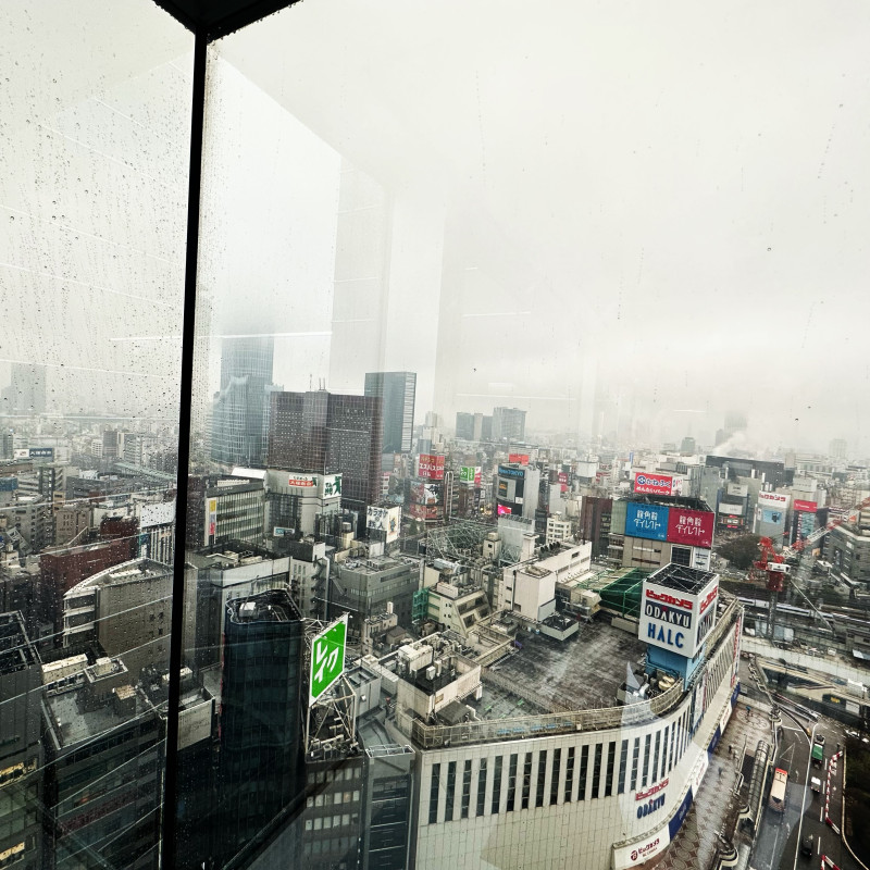 雨ですね…