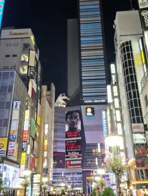 東京?の夜?