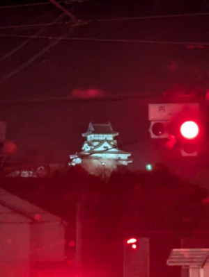 気温差にお気を付けて(*^^*)