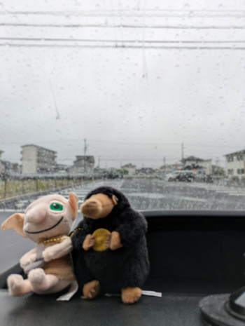 雨の日は湿気が、、、