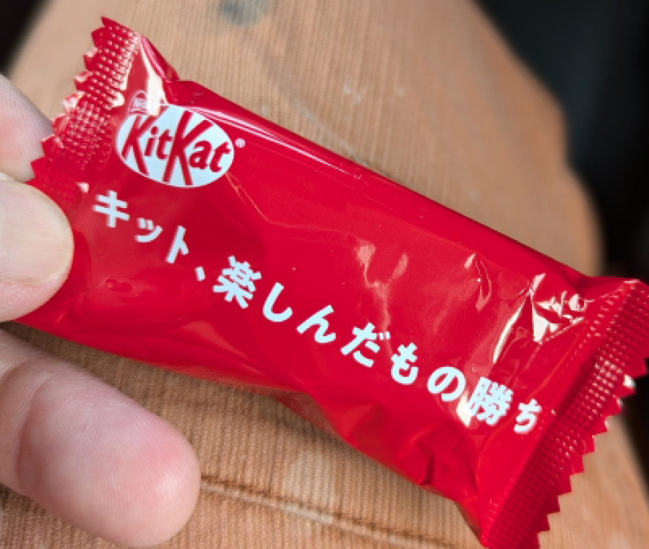 もう少しで半年??