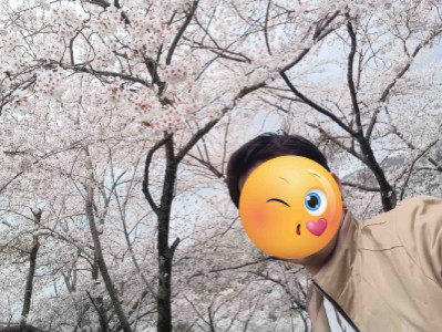お花見