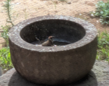暑いのは私だけぢゃなぃ?