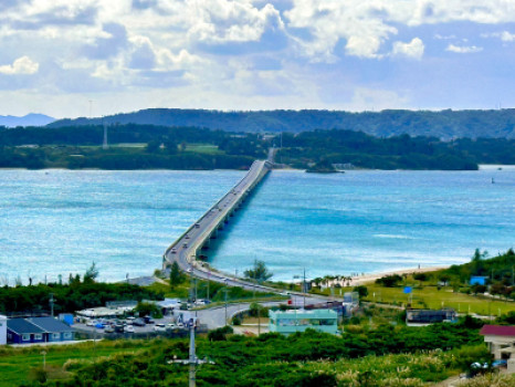 初！沖縄出張?