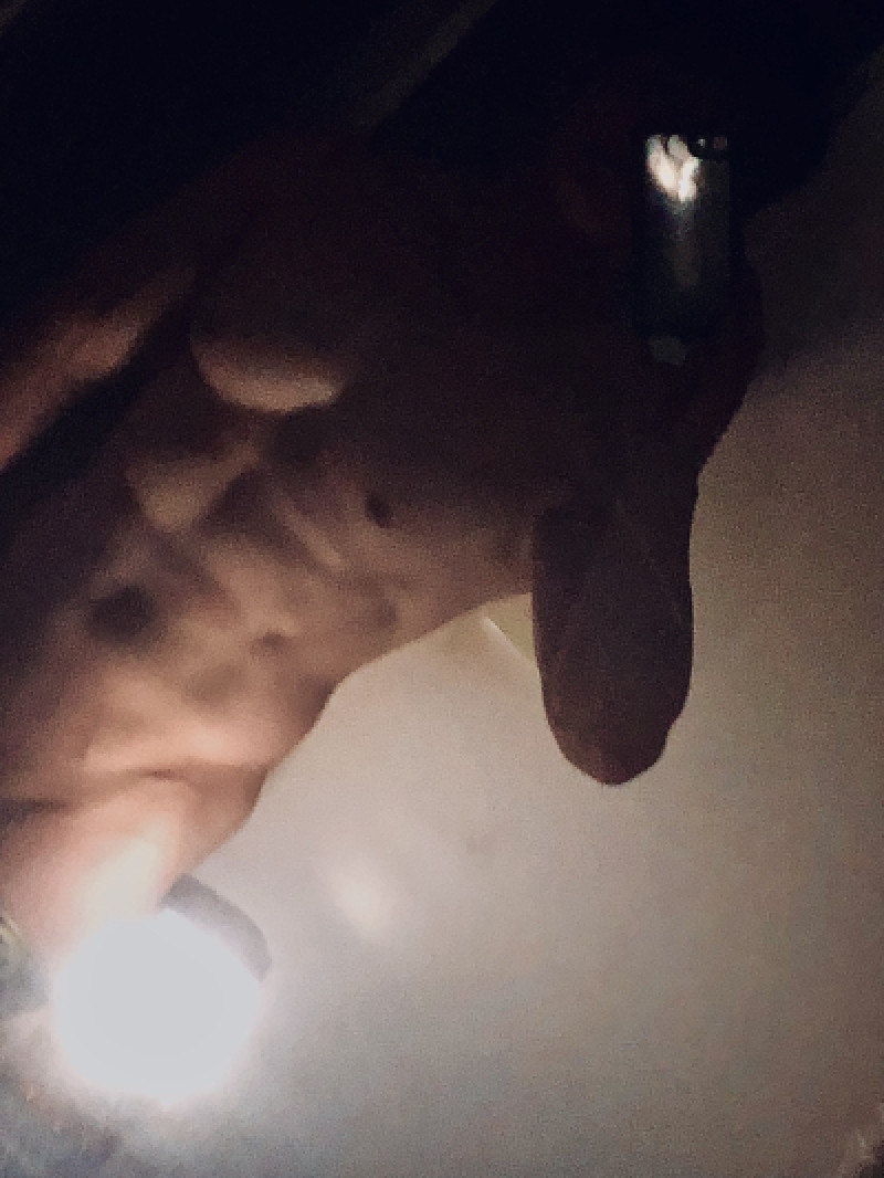 暑い?