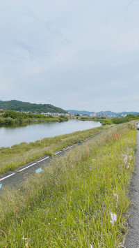 【歩いてきた】