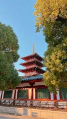 【お寺】