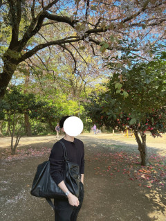 桜花爛漫