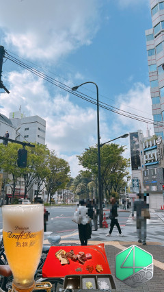 【新緑】