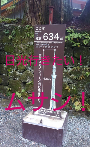 #行楽の秋