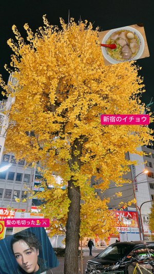 【忙しい？】