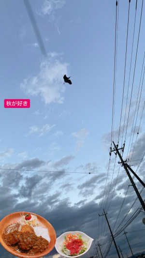 【ラッキー】