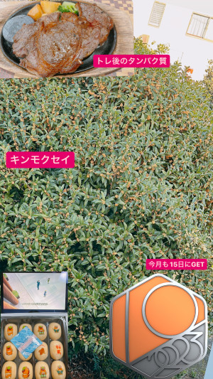 【歩いてきた】