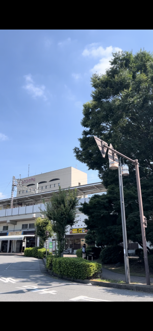【セミ】