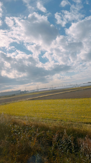 【静か】