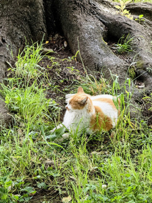 ため息は下向き、深呼吸は上向き