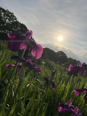 【雨ときどき呼吸】