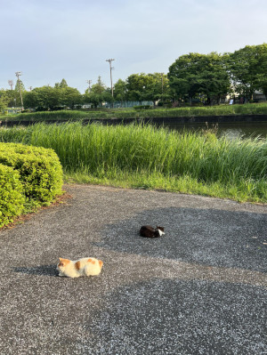 【女性に寄り添う時代の、その裏で】