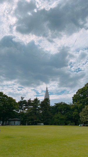【静かな予感が、背中を押した日】