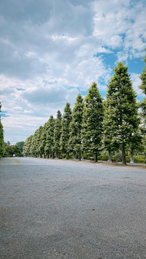 【知らず知らずのうちに、受け取ってない？】