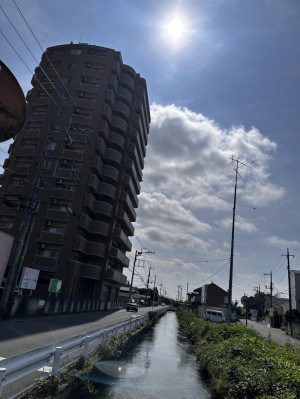 【夏の入り口、静かな朝の散歩で】