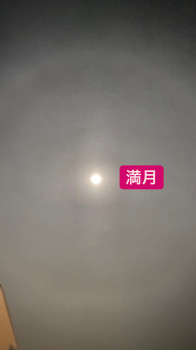 おやすみなさい