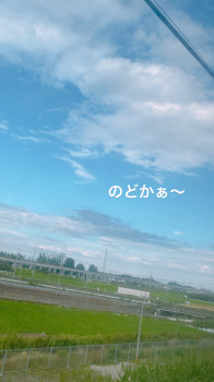 あ、もう午後でした