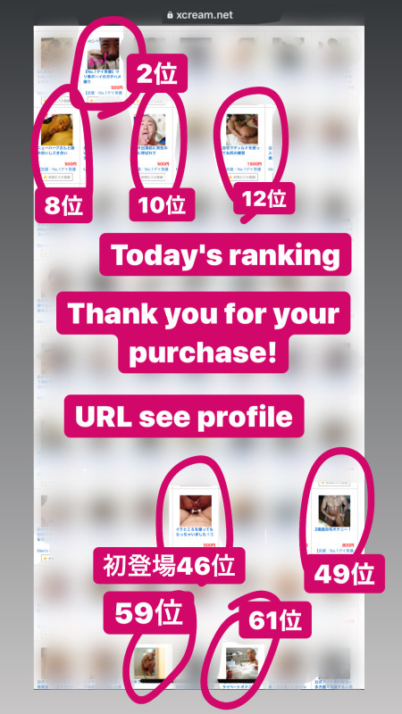 今日のランキング
