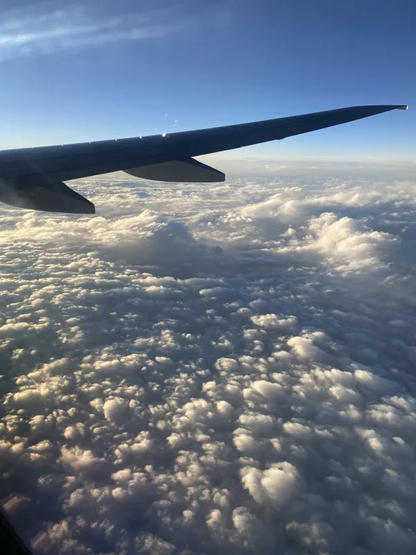 飛行機からの景色