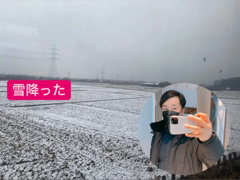 雪でしたね