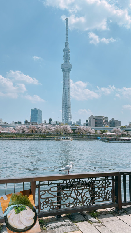【4月】