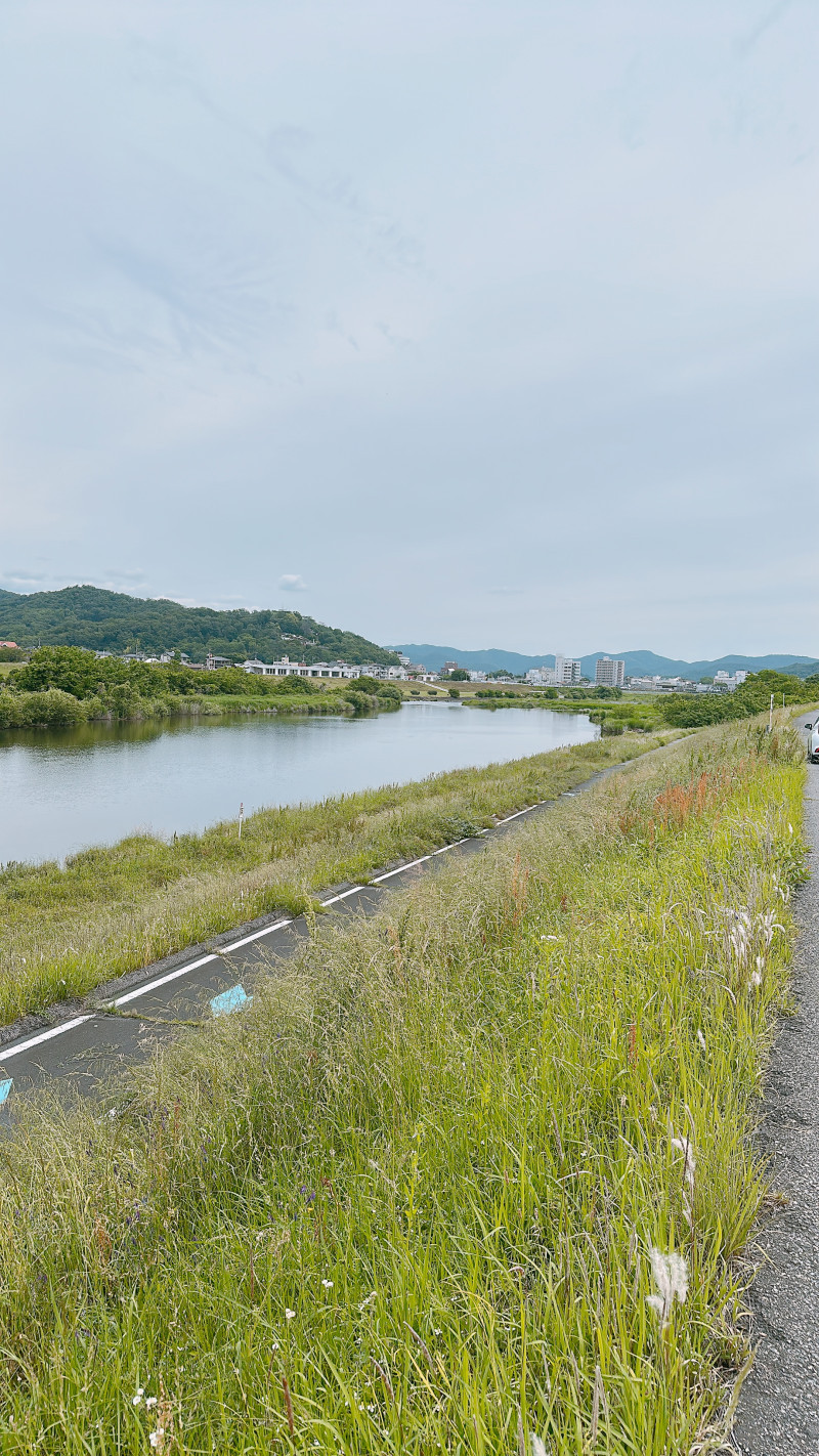 【歩いてきた】