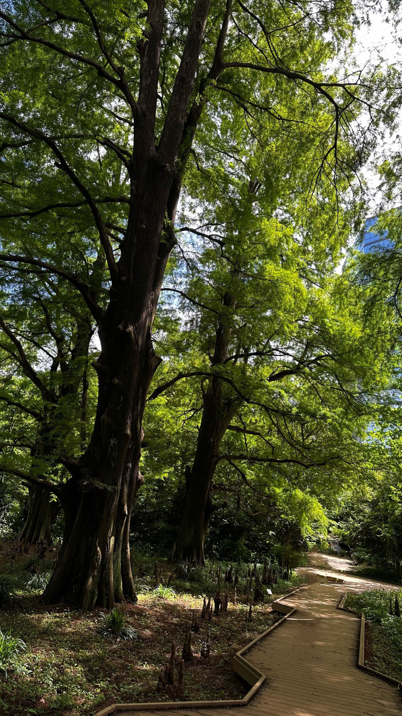 【7年目の扉、その先へ】