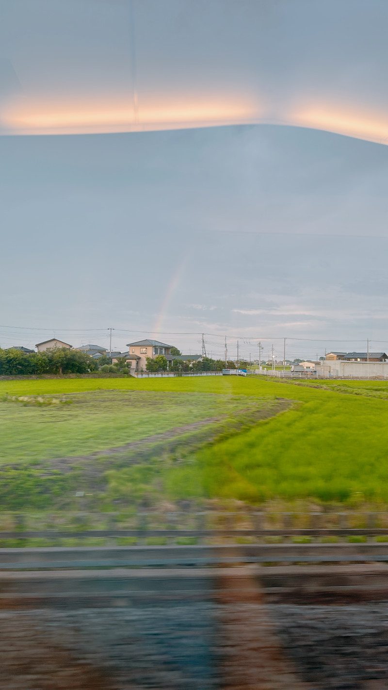 【太陽に背を向けて】