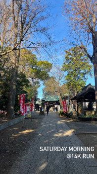 神社巡りラン