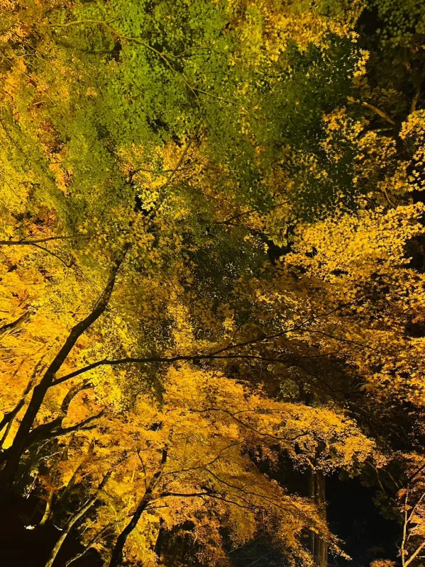 彩り????ふとした時の幸せ