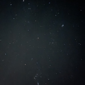 綺麗