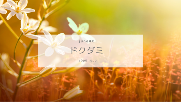 ドクダミ