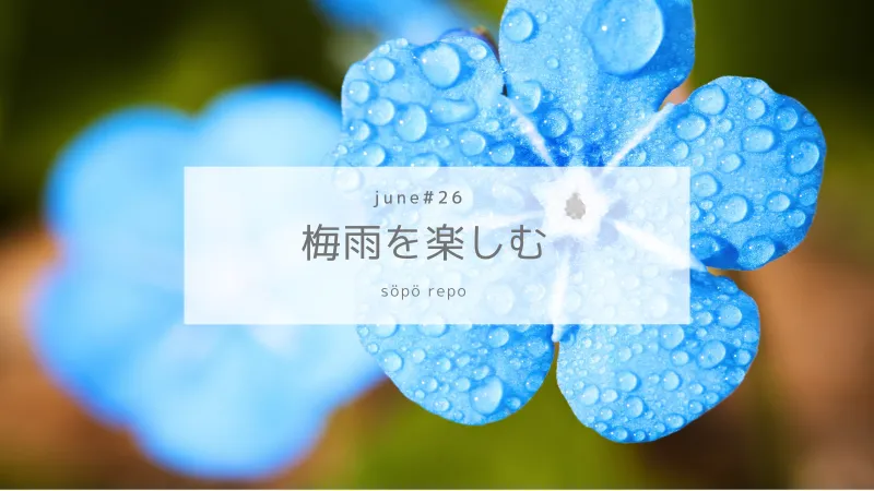 梅雨の季節を楽しむ